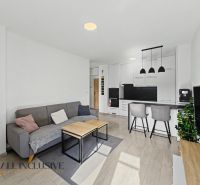 Living room with wood-patterned flooring and a kitchenette in a two-room apartment.