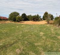 Plots - living in a village with a grassy area surrounded by trees and houses.