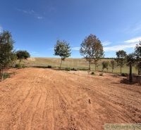 In the village, there is a plot of land - housing with trees and a blue sky.