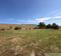 Plots - living in Dedinka, vast fields and greenery under the blue sky.