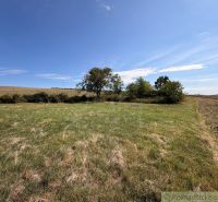 Green residential plot in Dedinka, with an open landscape view and trees.