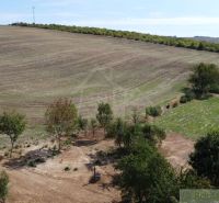 Spacious residential plots in the village of Dedinka with hilly terrain and trees.