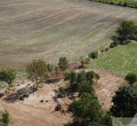 Spacious flat plots for housing in Dedinka, surrounded by trees and fields.
