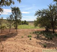 Plots - living in a small village with a view of natural scenery and trees.