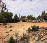 Land - living in Dedinka, with a spacious open area and trees in the background.