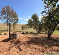 Plots - living in a village surrounded by trees, visible well and fields in the background.