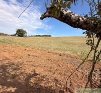 Plots - living in a small village with expansive fields, trees, and a blue sky.