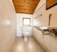 A bathroom in a cabin with a sloped wooden ceiling and light-paneled walls.
