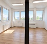Offices with five windows and a wooden decor floor, FS Partners Reality.