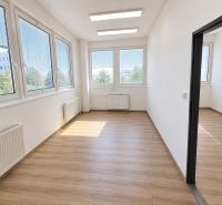 Office interior with wood-patterned flooring and large windows.