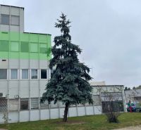 Office building on Záhradnícka Street in Komárno with a large tree in the foreground.