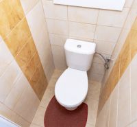 A toilet in a 2-room apartment with beige tiles and a red rug.