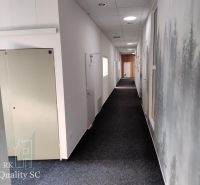The hallway of the office with a dark carpet and a decorative wall.