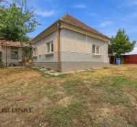 A family house in Bátorove Kosihy with a garden and a tree on a dry lawn.