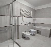 A bathroom in a 2-room apartment with a bathtub, shower, and toilet.