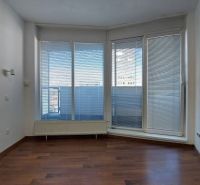 Living room of a two-room apartment with wood-patterned flooring and large windows with blinds.