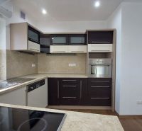 A corner kitchen layout in a 2-room apartment with a wooden decor floor.