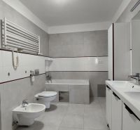 A bathroom with a bathtub, shower, and double sink in a 2-room apartment.