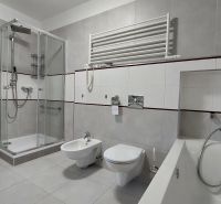 Bathroom with a bathtub, shower, and bidet in a 2-room apartment.