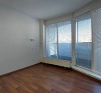 A room with a wooden decor floor and large windows in a two-room apartment.