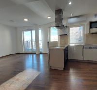 Kitchen and living room with wood-patterned flooring in a two-room apartment.