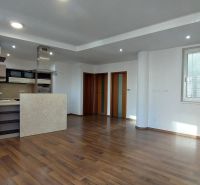 Open space with a kitchen, wooden decor flooring in a 2-room apartment.