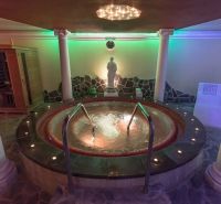 Relaxation room with a hot tub, sauna, and sculpture in the Recreation Apartment.