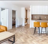 Recreational apartment with a sofa, kitchen counter, and wood-patterned flooring.