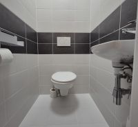 A minimalist toilet in a 3-room apartment with white and dark tiles.