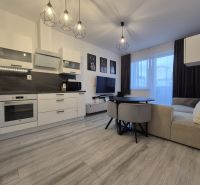 Living room in a three-room apartment with a kitchen, sofa, and wooden decor flooring.