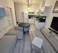 Living room in a 3-room apartment with a kitchenette and a wooden decor floor.