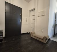 A corridor with a dark floor and light walls, furnishings in a 3-room apartment.