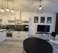 Living room with kitchen, furnished, wooden decor flooring, in a 3-room apartment.