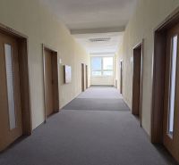 Hallway with brown doors in offices on Drieňová Street, Bratislava - Ružinov.