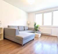 Living room in a 2-room apartment with a sofa, glass table, and wooden decor flooring.