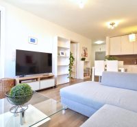 Living room with a sofa, television, and kitchenette in a two-room apartment.