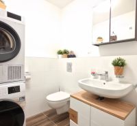 A bathroom with appliances, a sink, and a toilet in a 2-room apartment, with a wooden decor floor.