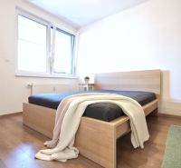 Bedroom in a two-room apartment with wood-patterned flooring and a large window.
