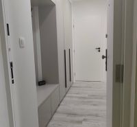 A bright hallway in a 3-room apartment with storage cabinets and a wooden decor floor.