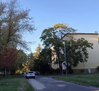 Sečovská Street in Bratislava - Ružinov with buildings among trees and parked cars.