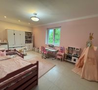 A children's room in a family house with pink walls, a crib, and toys.