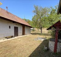A cottage in Čaka with a grassy yard, trees, and a traditional well.