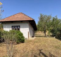 A cottage in Čaka with a garden, trees, shrubs, and a white facade, under a blue sky.