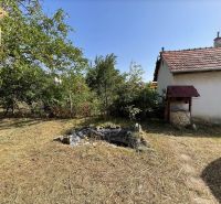 Garden area by the cottage in Čaka with a wooden well and maintained lawn.