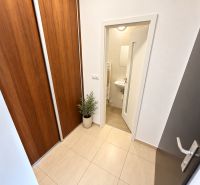 Entrance hallway with white walls, built-in wardrobe, and bathroom door in a 2-room apartment.