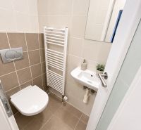 Bathroom with wall-hung toilet, mirror, and ladder radiator in a 2-room apartment.