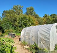 Gardens in Bruty with a greenhouse surrounded by vegetable plants and trees.