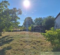 Sunny gardens in Bruty with abundant greenery and a house in the background.