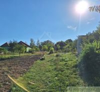 A sunny day in the gardens of Bruty with manicured green areas and houses.