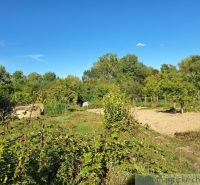 The gardens in Bruty boast lush greenery and a blue sky.